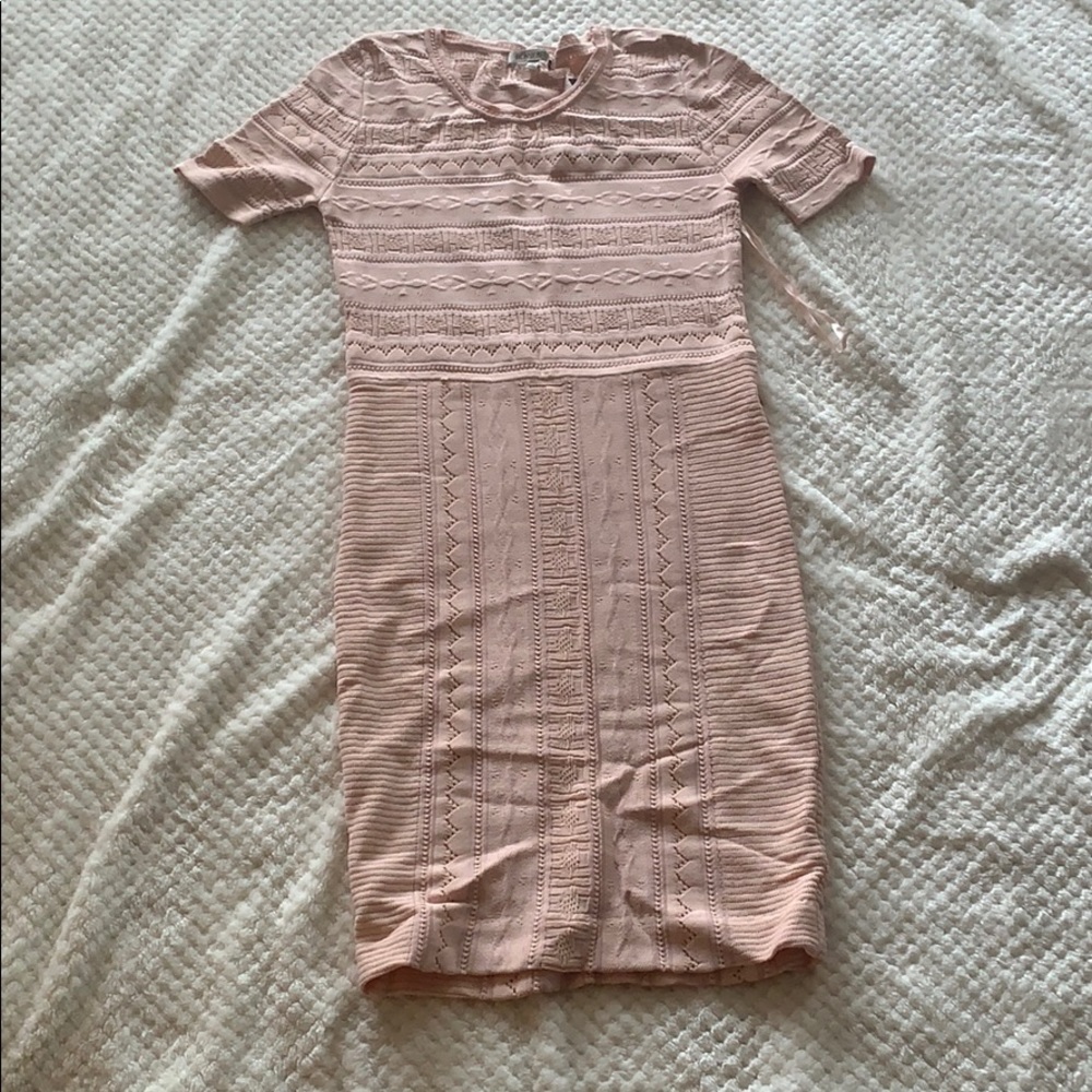 Ronny Kobo Bodycon Dress in Pink